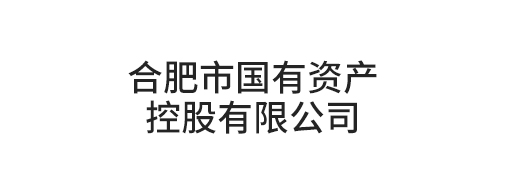 合肥市國有資產(chǎn)控股有限公司